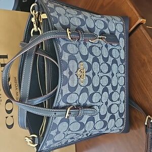 Coach Mollie Handbag 25